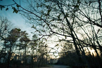 DSC_5025-3.jpg