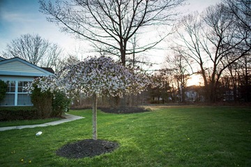 DSC_5049-4.jpg