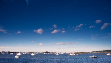 DSC_5479-2.jpg