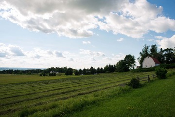 20140704-165022