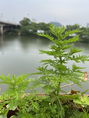 48C402D3-E90C-47D8-BBB2-3EBBBC868F9D/L0/001