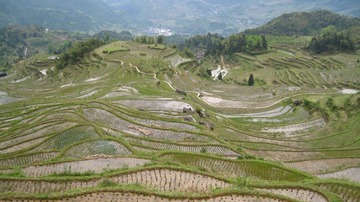 IMG_1371.JPG