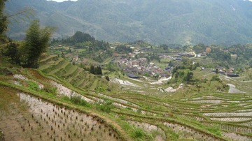IMG_1372.JPG