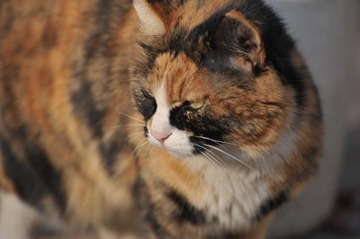 DSC_0102.JPG