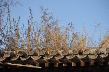 DSC_0189.JPG