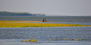 _DSC2933-1.jpg