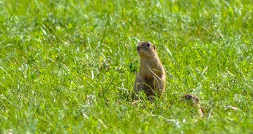 _CSC0807-1.jpg