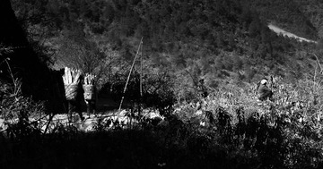 DSC_4535-1.jpg