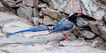 _DSC8051-1.jpg
