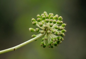 IMG_5874.jpg