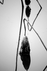 IMG_5920.jpg