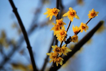 IMG_6060.jpg