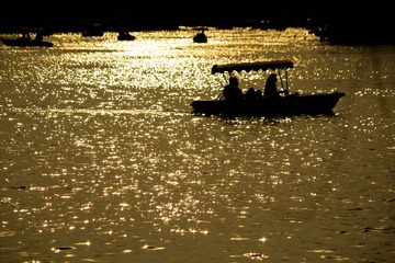 IMG_6303.jpg