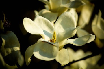 IMG_6363.jpg