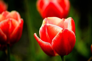 IMG_6395.jpg