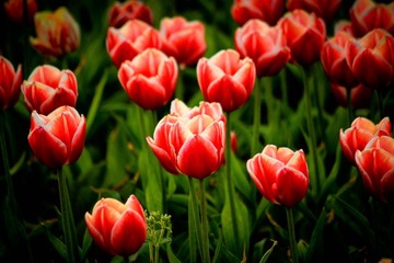 IMG_6393.jpg