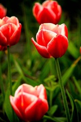 IMG_6400.jpg