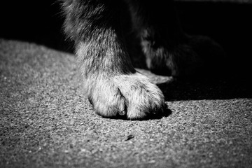 IMG_6542.jpg