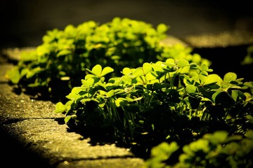 IMG_6372.jpg