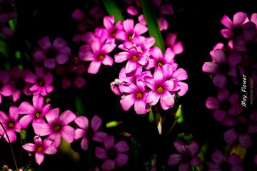 IMG_6720-2副本.jpg