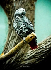 IMG_7758.jpg