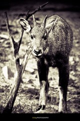 IMG_7877.jpg