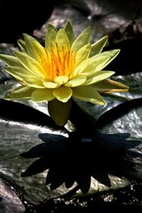IMG_8660.jpg