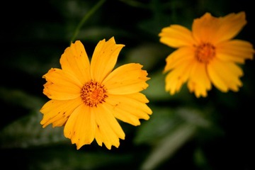 IMG_8432.jpg