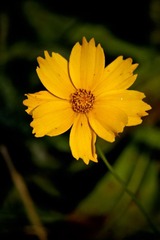 IMG_8437-2.jpg