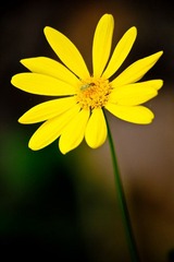 IMG_8444.jpg