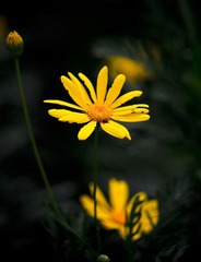 IMG_8468.jpg