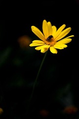 IMG_8474.jpg