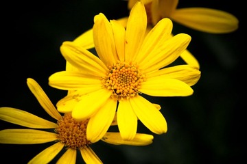IMG_8479.jpg