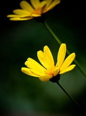 IMG_8481.jpg