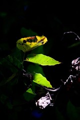 IMG_8566.jpg
