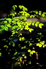 IMG_8590.jpg