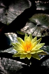 IMG_8656.jpg