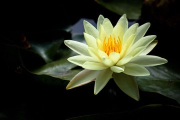 IMG_8684.jpg