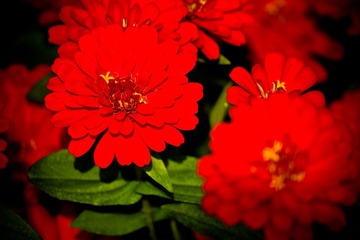 IMG_8697.jpg