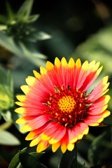 IMG_8716.jpg