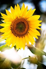 IMG_8739.jpg