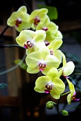 IMG_8815.jpg