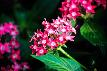 IMG_8840.jpg