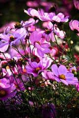 IMG_8864.jpg