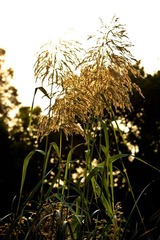 IMG_8895.jpg