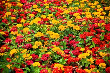 IMG_8872.jpg