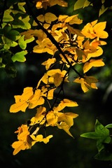 IMG_8906.jpg
