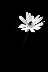 IMG_8474-2.jpg
