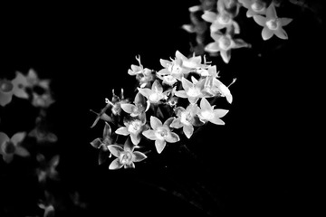 IMG_8840-2.jpg