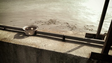 IMAG0575_1-1